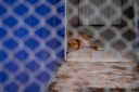Filename=EUM20260123SOC18.JPG
Filesize=41KiB
Dimensions=1150x767
Date added=Jan 23, 2026 EUM20260123SOC18.JPG
