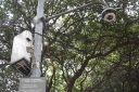 Filename=EUM20260124SOC18.JPG
Filesize=2407KiB
Dimensions=2048x1365
Date added=Jan 24, 2026 EUM20260124SOC18.JPG