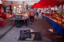 Filename=EUM20260130SOC26.JPG
Filesize=1810KiB
Dimensions=2048x1365
Date added=Jan 30, 2026 EUM20260130SOC26.JPG
