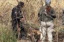Filename=EUM20260226NAC07.JPG
Filesize=2275KiB
Dimensions=2048x1365
Date added=Feb 26, 2026 EUM20260226NAC07.JPG