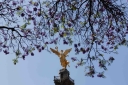 Filename=EUM20260306SOC01.JPG
Filesize=1999KiB
Dimensions=2048x1365
Date added=Mar 06, 2026 EUM20260306SOC01.JPG