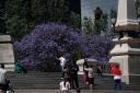 Filename=EUM20260306SOC03.JPG
Filesize=1857KiB
Dimensions=2048x1365
Date added=Mar 06, 2026 EUM20260306SOC03.JPG