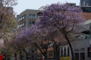 Filename=EUM20260306SOC04.JPG
Filesize=2503KiB
Dimensions=2048x1365
Date added=Mar 06, 2026 EUM20260306SOC04.JPG