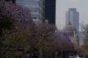 Filename=EUM20260306SOC05.JPG
Filesize=2009KiB
Dimensions=2048x1365
Date added=Mar 06, 2026 EUM20260306SOC05.JPG