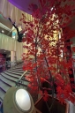 Filename=EUM20260312ESP03.JPG
Filesize=1970KiB
Dimensions=1365x2048
Date added=Mar 12, 2026 EUM20260312ESP03.JPG