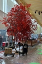 Filename=EUM20260312ESP04.JPG
Filesize=2049KiB
Dimensions=1365x2048
Date added=Mar 12, 2026 EUM20260312ESP04.JPG