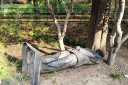 Filename=EUM20260313CUL03.JPG
Filesize=3249KiB
Dimensions=2048x1365
Date added=Mar 13, 2026 EUM20260313CUL03.JPG