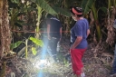 Filename=EUM20260318NAC20.JPG
Filesize=2128KiB
Dimensions=2048x1365
Date added=Mar 18, 2026 EUM20260318NAC20.JPG