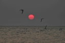 Filename=EUM20260501NAC08.JPG
Filesize=1251KiB
Dimensions=2048x1365
Date added=May 01, 2026 EUM20260501NAC08.JPG