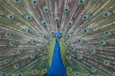 Filename=EUM20260529SOC07.JPG
Filesize=85KiB
Dimensions=1150x767
Date added=May 29, 2026 EUM20260529SOC07.JPG