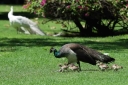 Filename=EUM20260529SOC08.JPG
Filesize=67KiB
Dimensions=1278x852
Date added=May 29, 2026 EUM20260529SOC08.JPG