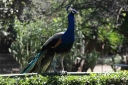 Filename=EUM20260529SOC09.JPG
Filesize=78KiB
Dimensions=1274x849
Date added=May 29, 2026 EUM20260529SOC09.JPG