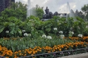 Filename=EUM20260605SOC44.JPG
Filesize=2470KiB
Dimensions=2048x1365
Date added=Jun 05, 2026 EUM20260605SOC44.JPG