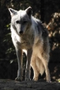Filename=EUM20260613SOC47.JPG
Filesize=1179KiB
Dimensions=1365x2048
Date added=Jun 13, 2026 EUM20260613SOC47.JPG