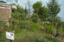 Filename=EUM20260620SOC25.JPG
Filesize=2853KiB
Dimensions=2048x1365
Date added=Jun 20, 2026 EUM20260620SOC25.JPG
