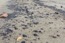 Filename=EUM20260624NAC02.JPG
Filesize=70KiB
Dimensions=958x639
Date added=Jun 24, 2026 EUM20260624NAC02.JPG