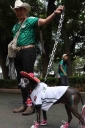 Filename=EUM20260630DEP61.JPG
Filesize=58KiB
Dimensions=767x1151
Date added=Jun 30, 2026 EUM20260630DEP61.JPG