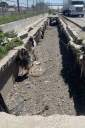 Filename=EUM20260709SOC31.JPG
Filesize=2158KiB
Dimensions=1365x2048
Date added=Jul 09, 2026 EUM20260709SOC31.JPG