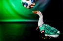 Filename=EUM20260718DEP14.JPG
Filesize=1006KiB
Dimensions=2048x1365
Date added=Jul 18, 2026 EUM20260718DEP14.JPG