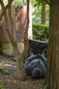 Filename=EUM20260721NAC10.JPG
Filesize=2053KiB
Dimensions=1365x2048
Date added=Jul 21, 2026 EUM20260721NAC10.JPG