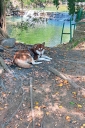 Filename=EUM20260725NAC05.JPG
Filesize=2907KiB
Dimensions=1365x2048
Date added=Jul 25, 2026 EUM20260725NAC05.JPG