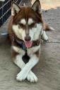 Filename=EUM20260725NAC06.JPG
Filesize=1537KiB
Dimensions=1365x2048
Date added=Jul 25, 2026 EUM20260725NAC06.JPG