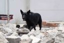 Filename=EUM20250522SOC17.JPG
Filesize=1373KiB
Dimensions=2048x1365
Date added=May 22, 2025 EUM20250522SOC17.JPG