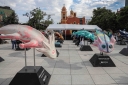 Filename=EUM20260806SOC12.JPG
Filesize=2231KiB
Dimensions=2048x1365
Date added=Aug 06, 2026 EUM20260806SOC12.JPG