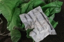 Filename=EUM20260808NAC10.JPG
Filesize=1539KiB
Dimensions=2048x1365
Date added=Aug 08, 2026 EUM20260808NAC10.JPG