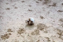 Filename=EUM20260819INT01.JPG
Filesize=135KiB
Dimensions=1438x959
Date added=Aug 19, 2026 EUM20260819INT01.JPG