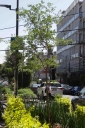 Filename=EUM20260819SOC14.JPG
Filesize=2161KiB
Dimensions=1365x2048
Date added=Aug 19, 2026 EUM20260819SOC14.JPG