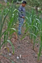 Filename=EUM20260825NAC01.JPG
Filesize=2197KiB
Dimensions=1365x2048
Date added=Aug 25, 2026 EUM20260825NAC01.JPG