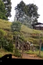Filename=EUM20260827NAC03.JPG
Filesize=1385KiB
Dimensions=1365x2048
Date added=Aug 27, 2026 EUM20260827NAC03.JPG