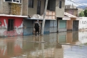 Filename=EUM20250529SOC17.JPG
Filesize=1711KiB
Dimensions=2048x1365
Date added=May 29, 2025 EUM20250529SOC17.JPG