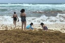 Filename=EUM20250605NAC27.JPG
Filesize=1447KiB
Dimensions=2048x1365
Date added=Jun 05, 2025 EUM20250605NAC27.JPG