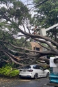 Filename=EUM20250612SOC27.JPG
Filesize=2243KiB
Dimensions=1365x2048
Date added=Jun 12, 2025 EUM20250612SOC27.JPG