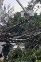 Filename=EUM20250612SOC28.JPG
Filesize=2013KiB
Dimensions=1365x2048
Date added=Jun 12, 2025 EUM20250612SOC28.JPG