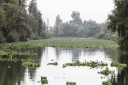 Filename=EUM20250627SOC14.JPG
Filesize=1955KiB
Dimensions=2048x1365
Date added=Jun 27, 2025 EUM20250627SOC14.JPG