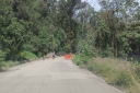 Filename=EUM20250831SOC27.jpg
Filesize=2523KiB
Dimensions=2048x1364
Date added=Aug 31, 2025 EUM20250831SOC27.jpg