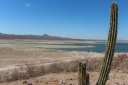 Filename=EUM20250504NAC09.jpg
Filesize=1783KiB
Dimensions=2048x1364
Date added=May 04, 2025 EUM20250504NAC09.jpg