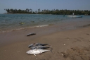 Filename=EUM20250505NAC05.jpg
Filesize=1589KiB
Dimensions=2048x1364
Date added=May 05, 2025 EUM20250505NAC05.jpg