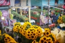 Filename=EUM20250505SOC12.jpg
Filesize=2174KiB
Dimensions=2048x1364
Date added=May 05, 2025 EUM20250505SOC12.jpg