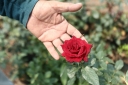 Filename=EUM20250505SOC38.jpg
Filesize=1244KiB
Dimensions=2048x1364
Date added=May 05, 2025 EUM20250505SOC38.jpg