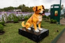 Filename=EUM20260607SOC06.jpg
Filesize=1803KiB
Dimensions=2048x1365
Date added=Jun 07, 2026 EUM20260607SOC06.jpg