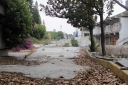 Filename=EUM20250525SOC36.jpg
Filesize=2354KiB
Dimensions=2048x1364
Date added=May 25, 2025 EUM20250525SOC36.jpg