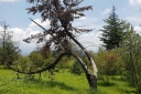 Filename=EUM20250706SOC15.jpg
Filesize=2698KiB
Dimensions=2048x1364
Date added=Jul 06, 2025 EUM20250706SOC15.jpg