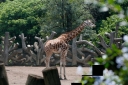 Filename=EUM20250706SOC31.jpg
Filesize=2121KiB
Dimensions=2048x1364
Date added=Jul 06, 2025 EUM20250706SOC31.jpg