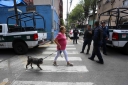Filename=EUM20250820SOC02.jpg
Filesize=1414KiB
Dimensions=2048x1365
Date added=Aug 20, 2025 EUM20250820SOC02.jpg