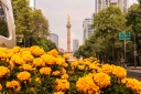Filename=EUM20251016SOC10.jpg
Filesize=2271KiB
Dimensions=2048x1365
Date added=Oct 16, 2025 EUM20251016SOC10.jpg