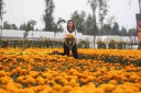 Filename=EUM20251017SOC01.JPG
Filesize=1693KiB
Dimensions=2048x1365
Date added=Oct 17, 2025 EUM20251017SOC01.JPG